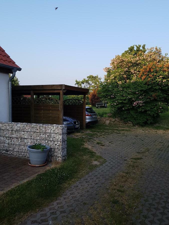 Seesternchen Gross Schwansee Exterior photo